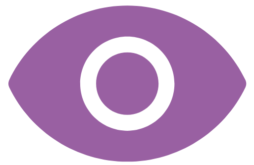 Vision Icon